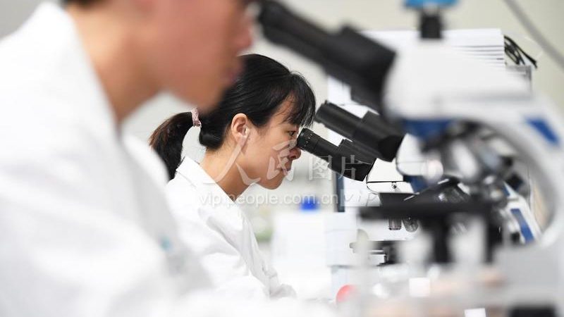 引物合成质量如何评估？揭秘优质引物合成的关键因素