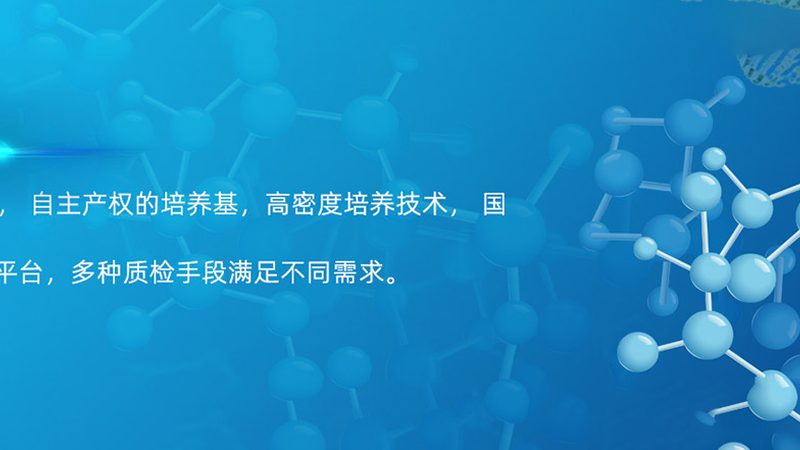 引物合成后如何选择纯化方式