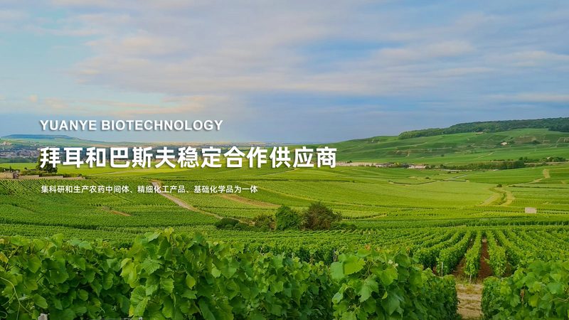 生物试剂使用，你真的了解这些细节吗？**