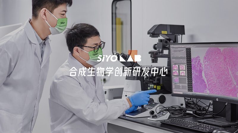 引物合成周期与序列长度