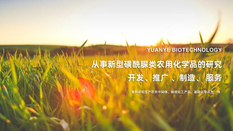 北京分子生物学试剂：揭秘其背后的技术奥秘与应用**