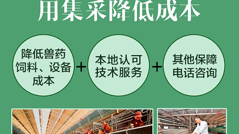 引物定制：生物科技研究中的精准利器**