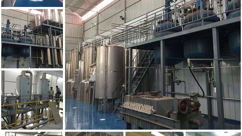 全基因组测序：揭秘基因奥秘的多种途径