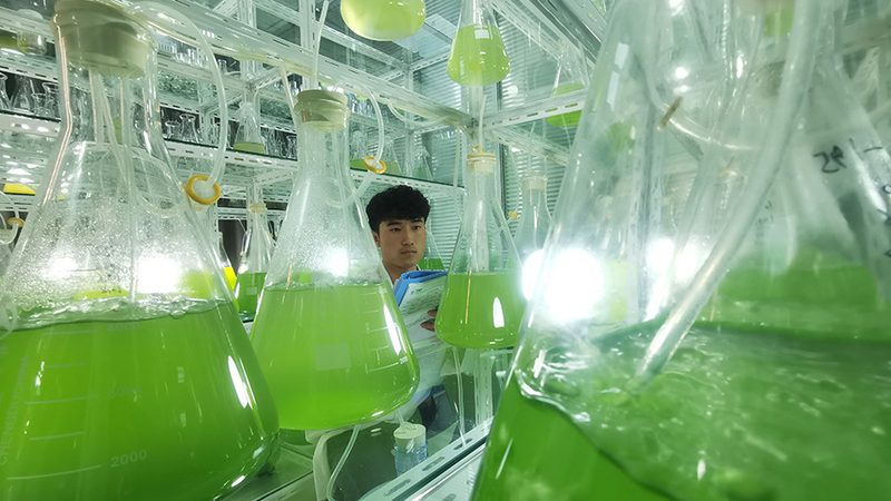 CDMO与CMO：合同差异解析，助您明智选择